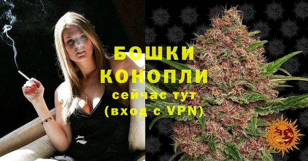 гидропоника Кукмор